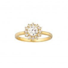 Δαχτυλίδι Σε Κίτρινο Χρυσό 14K Aloro (RI280 - ΖΧ1832)